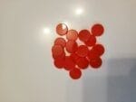 IMG_20240724_145531_236
