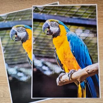 Друк фотографій А4 формату