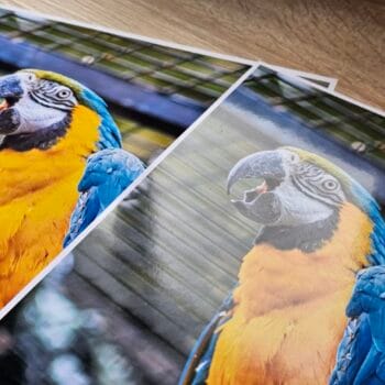 Друк фотографій А4 формату